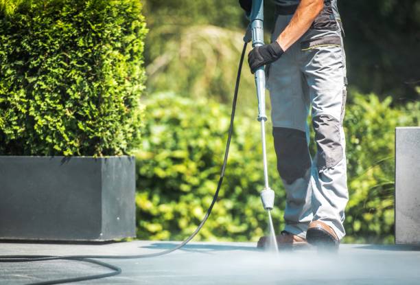 Best Pool Deck Cleaning  in Ives Estates, FL