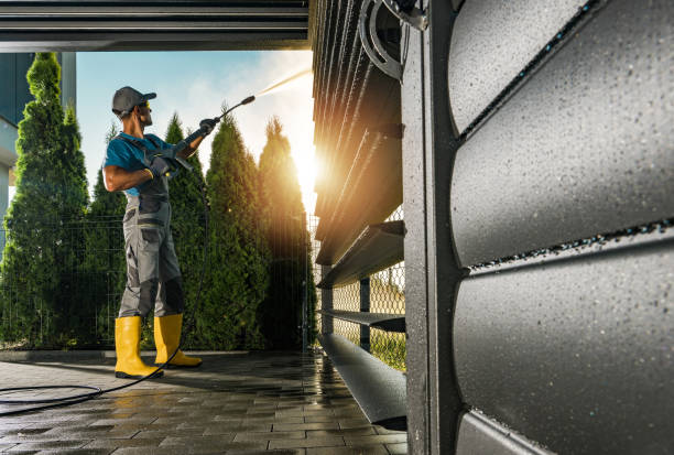 Animal Enclosure Cleaning in Ives Estates, FL